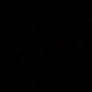 Meet your Posher, Vitz